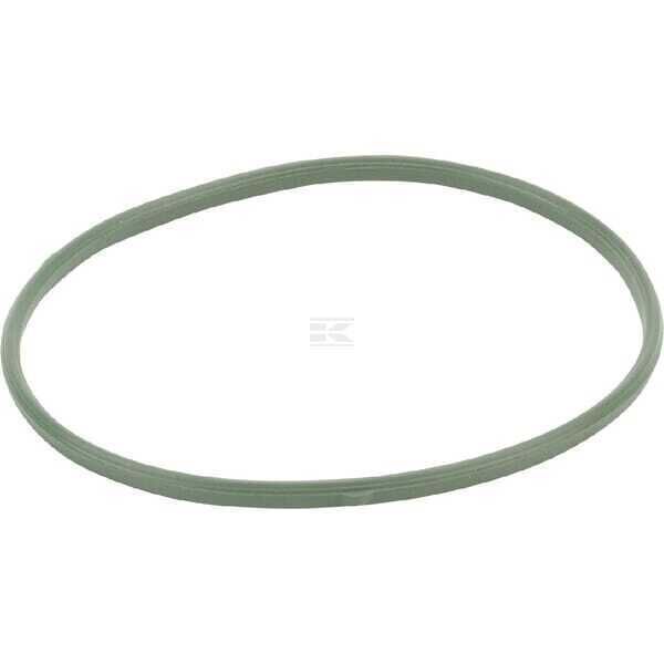 Gasket Swimmer's Bowl - 592485 - Briggs & Stratton