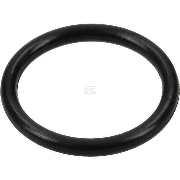 O-ring - 698550 - Briggs & Stratton