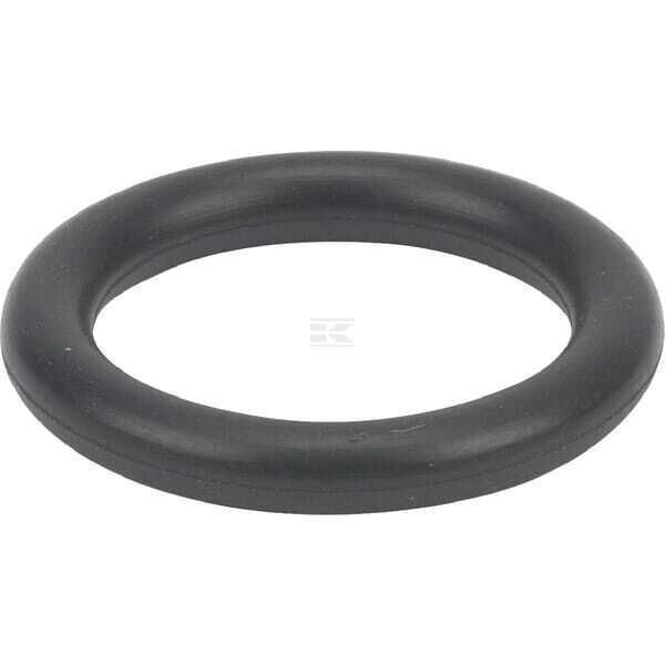 O-ring - 699725 - Briggs & Stratton