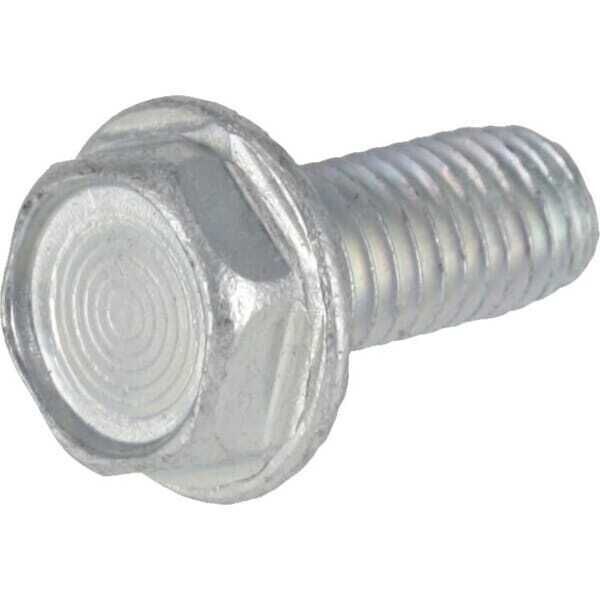 Screw - 793500WM - Briggs & Stratton