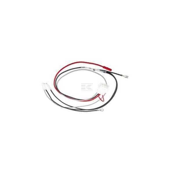 Wiring Harness - 796860 - Briggs & Stratton