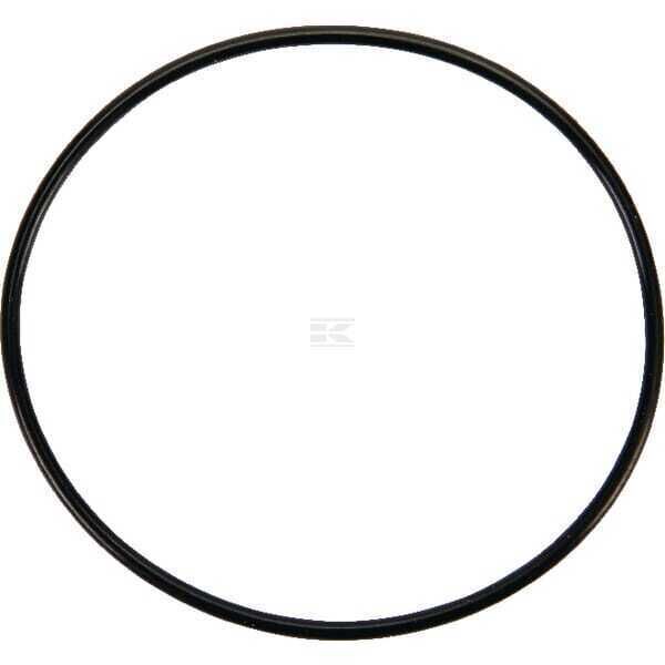 Gasket Swimmer Bowl - 841651 - Briggs & Stratton