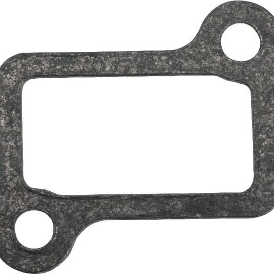 Castelgarden Head gasket - 1232800350 - Gasket