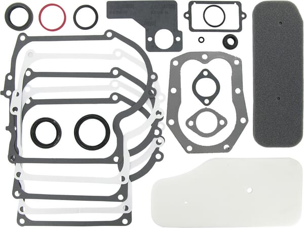 Briggs & Stratton Gasket sets - 393411 - Gasket set 391807