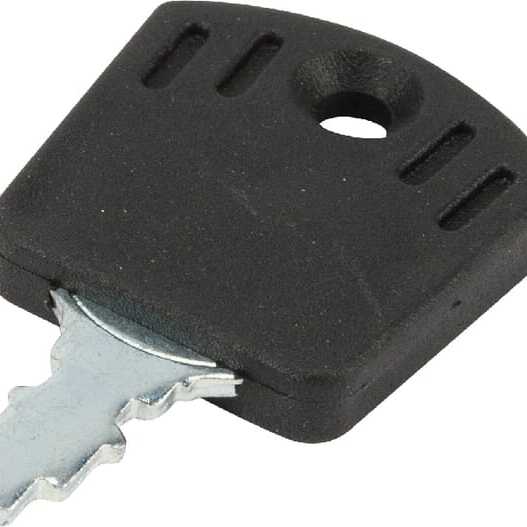 AL-KO Ignition keysoverviewOE - 700918 - Ignition key