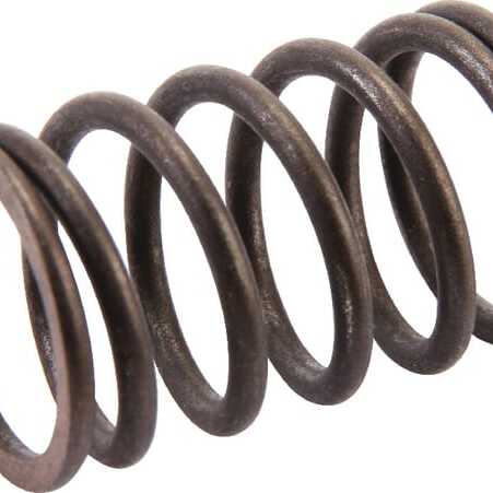 AL-KO Tension springsoverviewF&G OE - AK455244 - Valve spring