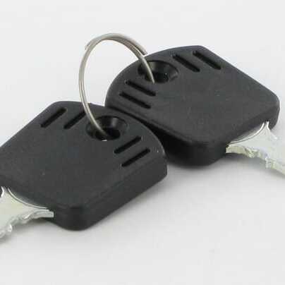 AL-KO Ignition keysoverviewOE - ET28388 - Ignition key (2x)